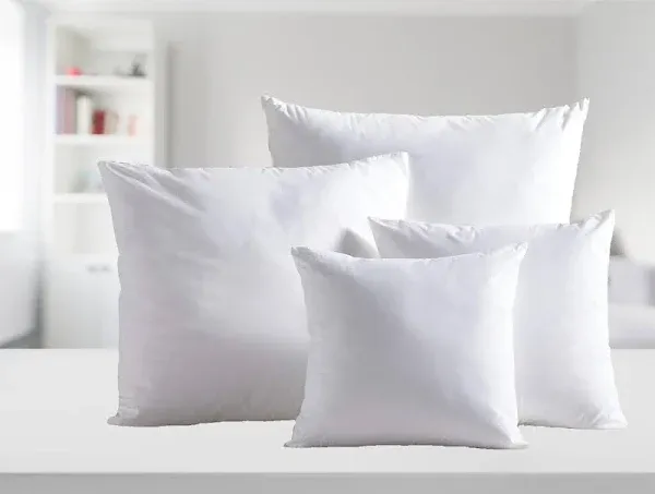 Down Decor Feather Pillow Insert Twin Pack